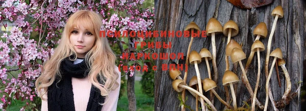 кокаин премиум Пересвет