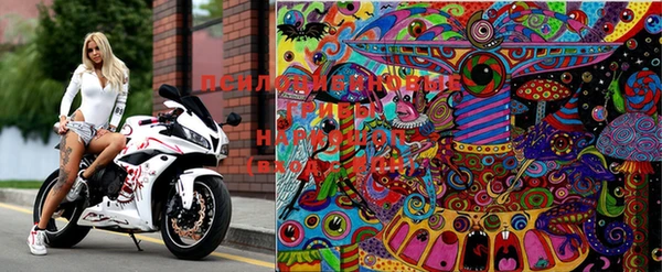 дмт Пестово