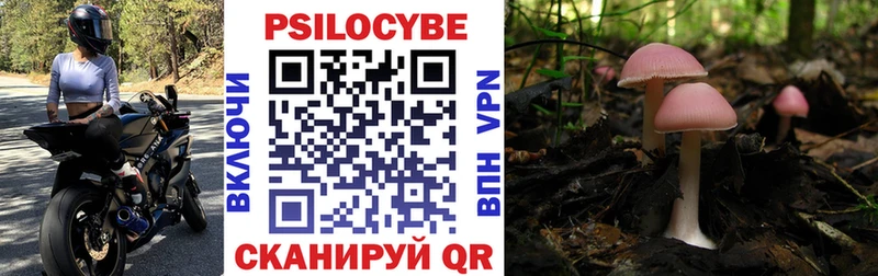 Купить закладки  Уссурийск  Псилоцибиновые грибы прущие грибы 